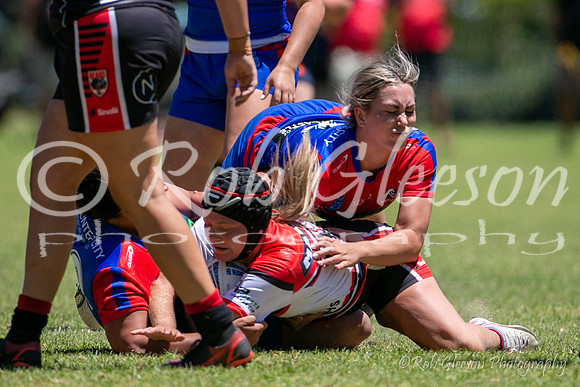 TGC R1 - Bears 14 v Knights 20-50