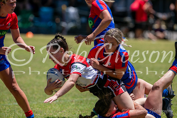 TGC R1 - Bears 14 v Knights 20-53