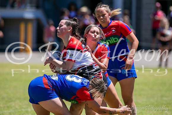 TGC R1 - Bears 14 v Knights 20-52