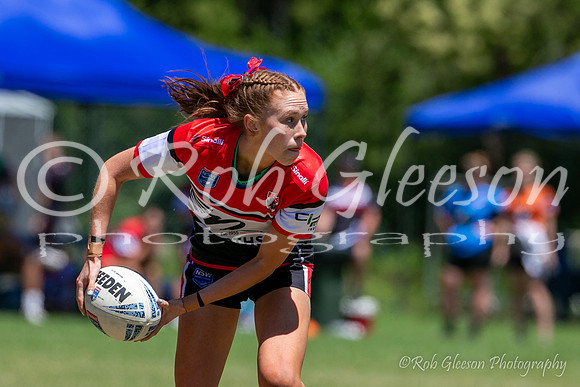 TGC R1 - Bears 14 v Knights 20-61