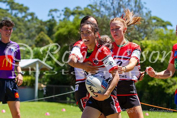 TGC R1 - Bears 14 v Knights 20-70