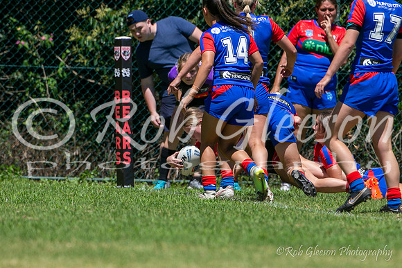 TGC R1 - Bears 14 v Knights 20-64