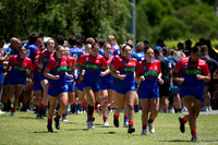 TGC 2023 - R1 - Bears 14 v Knights 20