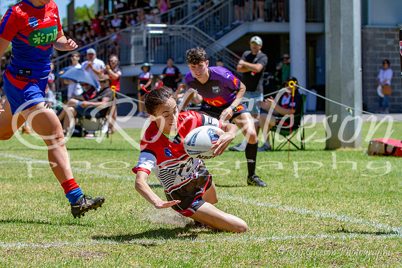 TGC R1 - Bears 14 v Knights 20-68