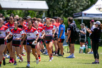 TGC R1 - Bears 14 v Knights 20-37