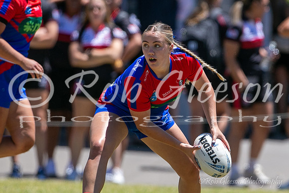 TGC R1 - Bears 14 v Knights 20-41