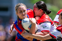 TGC R1 - Bears 14 v Knights 20-44