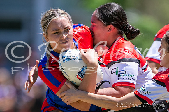 TGC R1 - Bears 14 v Knights 20-44