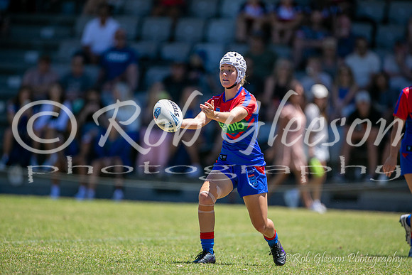 TGC R1 - Bears 14 v Knights 20-42