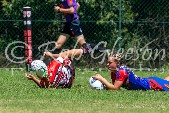 HNW R1 - Bears 30 v Knights 20-22
