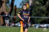 U7(2) R4 v AST Tigers-11