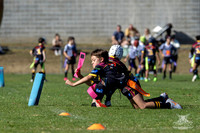 U7(2) R4 v AST Tigers-14