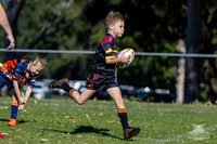 U7(2) R4 v AST Tigers-16
