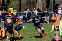 U7(2) R4 v AST Tigers-20