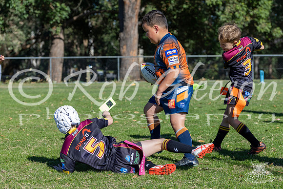 U7(2) R4 v AST Tigers-19