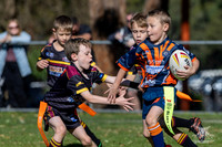 U7(2) R4 v AST Tigers-6
