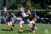 U7(2) R4 v AST Tigers-5