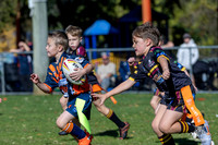 U7(2) R4 v AST Tigers-7