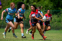 HNW - R2 - Bears 22 v Sharks 10_015