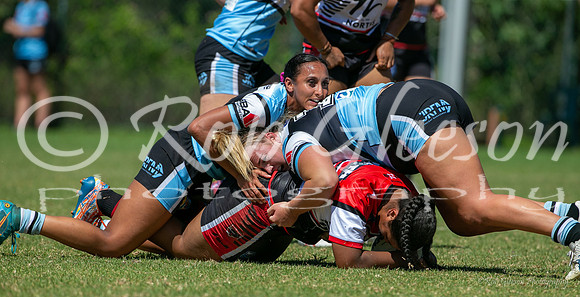 HNW - R2 - Bears 22 v Sharks 10_019