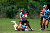 HNW - R2 - Bears 22 v Sharks 10_003
