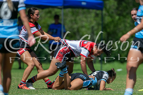 HNW - R2 - Bears 22 v Sharks 10_005