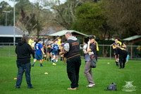 All Abilities - Parra Eels