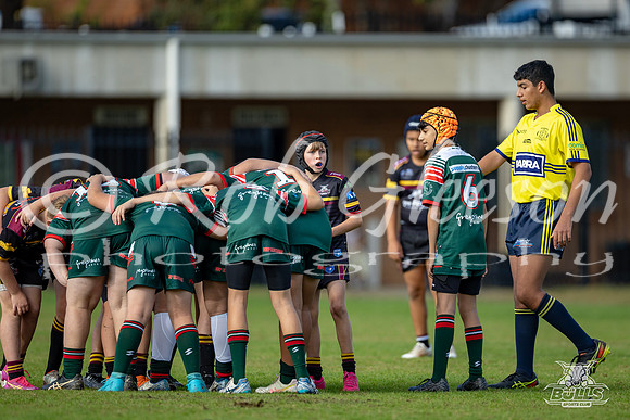 U13(2) R6 v Greystanes-5