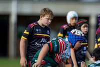U13(2) R6 v Greystanes-11