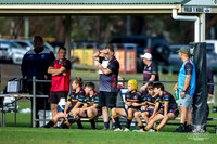 U13(2) R6 v Greystanes-16