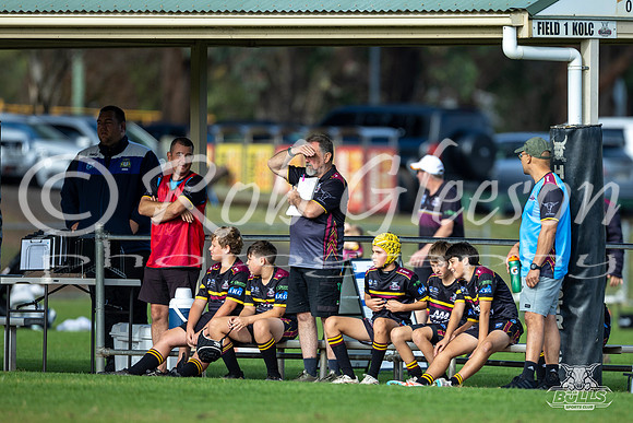 U13(2) R6 v Greystanes-16