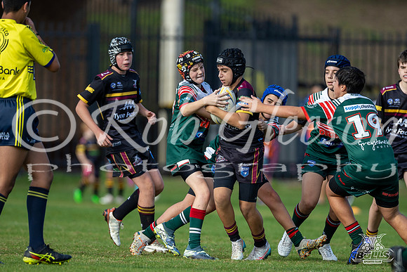 U13(2) R6 v Greystanes-18