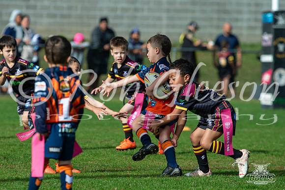 U6(3) R6 v AST Tigers-9