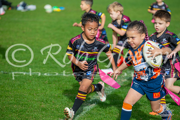 U6(3) R6 v AST Tigers-14