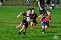 U6(3) R6 v AST Tigers-22
