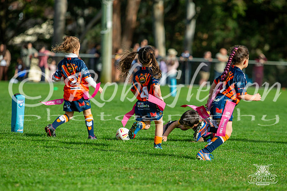 U6(3) R6 v AST Tigers-3