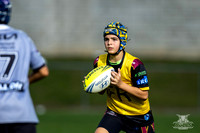 U12(2) R10 v Rouse Hill-14