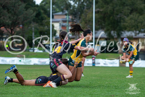 U15(G) R10 v ChipNort-4