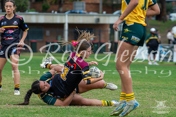 U15(G) R10 v ChipNort-9