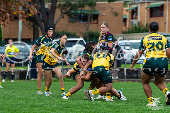 U15(G) R10 v ChipNort-10