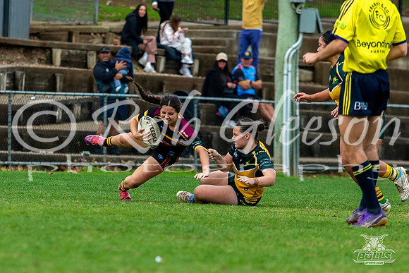 U15(G) R10 v ChipNort-13