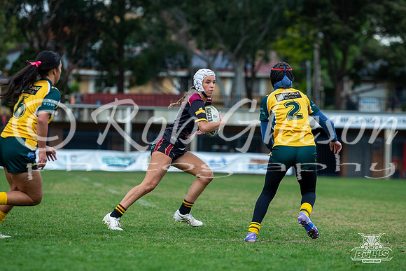 U15(G) R10 v ChipNort-15