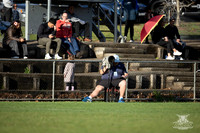 RMC R12 - Hills v Bulldogs-13