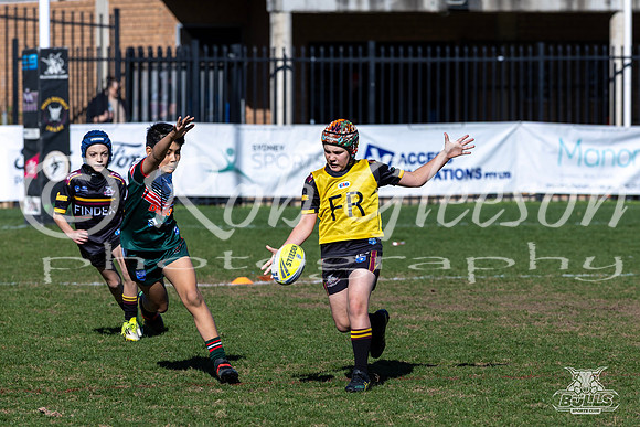 U9(2) R11 v Greystanes-7