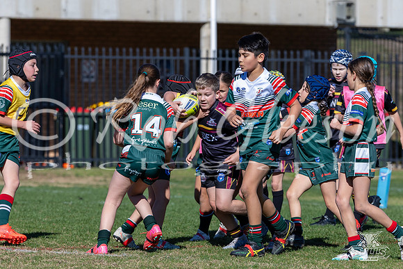 U9(2) R11 v Greystanes-25