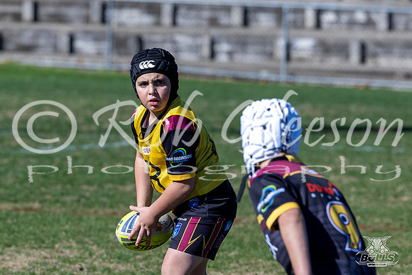 U9(2) R11 v Greystanes-30
