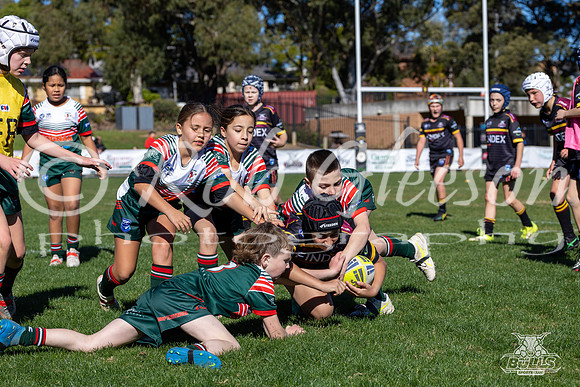 U9(2) R11 v Greystanes-35
