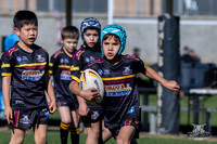 U7(3) R11 v Titans-2