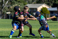 U7(3) R11 v Titans-6