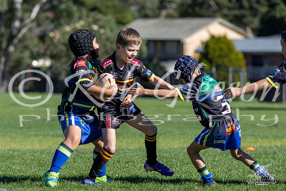 U7(3) R11 v Titans-6